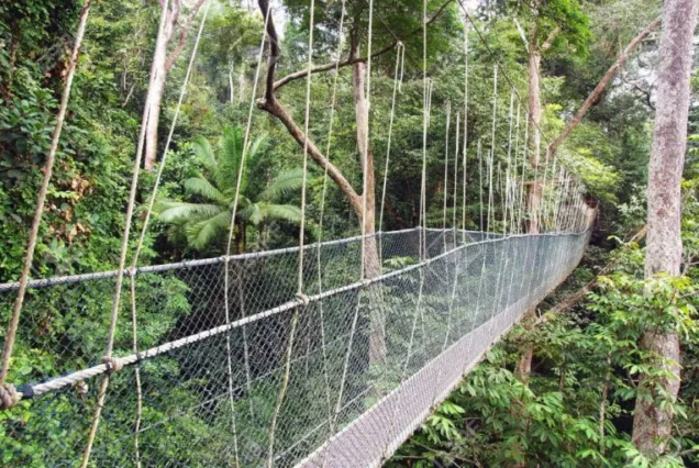 2 Days 1 Night Taman Negara Adventure